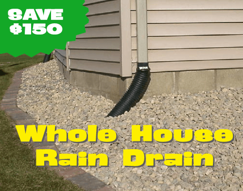 Whole House Rain Drain Special