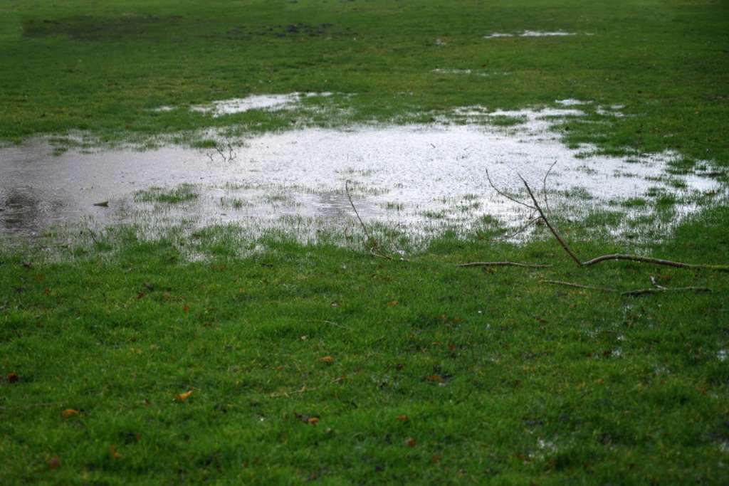 Water pooling in yard in Portland area home due to overflowing rain drain